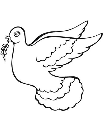 Dove Holding Olive Branch Coloring Page